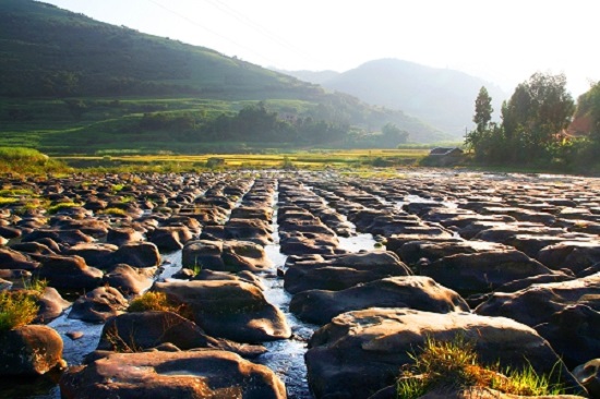 威廉希尔(中国)官方网站