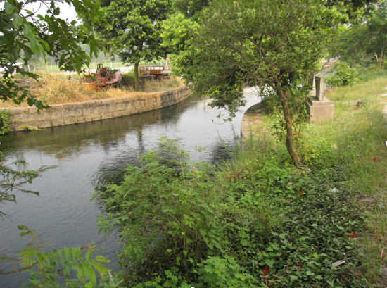 威廉希尔(中国)官方网站