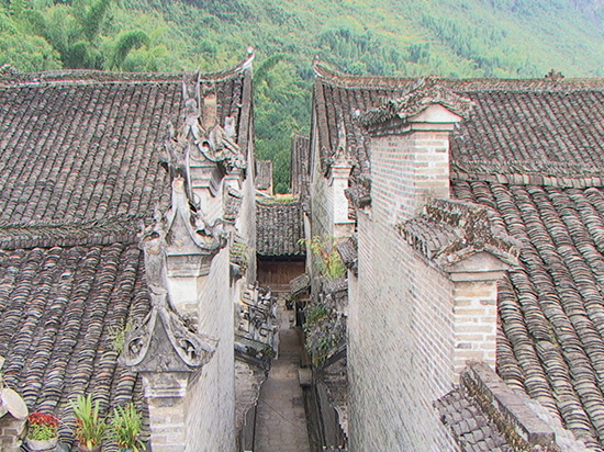 威廉希尔(中国)官方网站