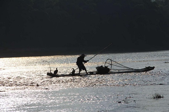 威廉希尔(中国)官方网站