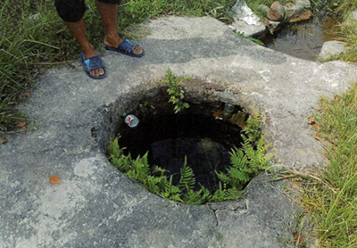 威廉希尔(中国)官方网站