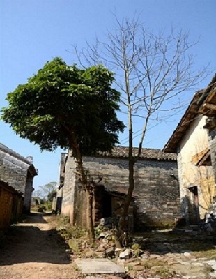 威廉希尔(中国)官方网站