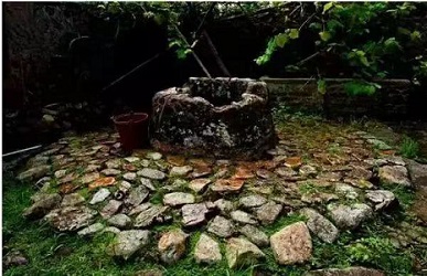 威廉希尔(中国)官方网站