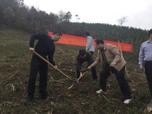 威廉希尔(中国)官方网站