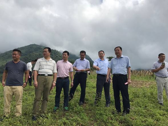 威廉希尔(中国)官方网站