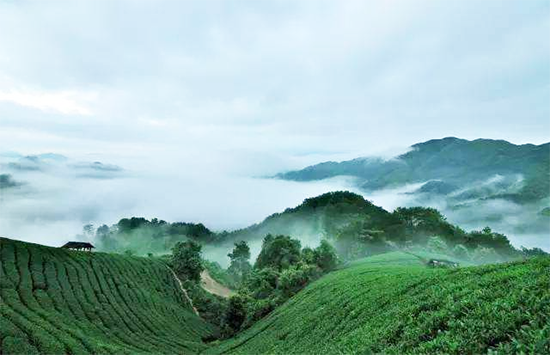 威廉希尔(中国)官方网站