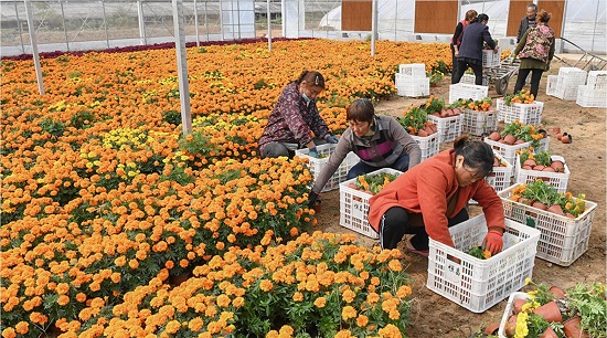 威廉希尔(中国)官方网站