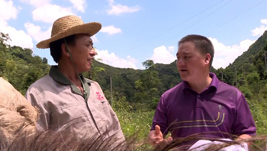 威廉希尔(中国)官方网站