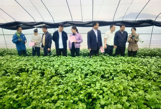 威廉希尔(中国)官方网站